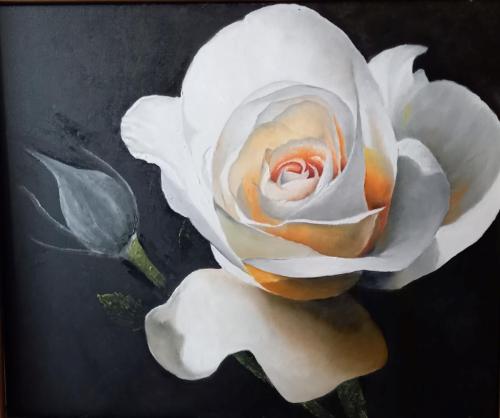 Witte roos 50 x 60 cm 