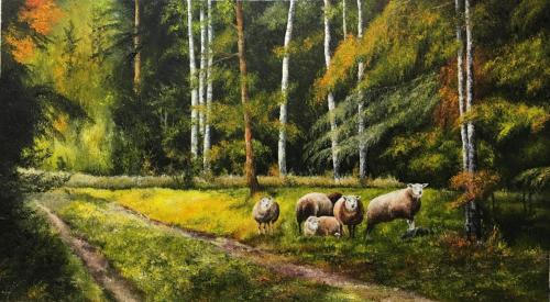 Bos-met-schapen