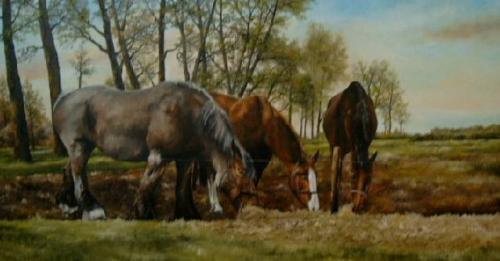 paarden-a.d.broekstr